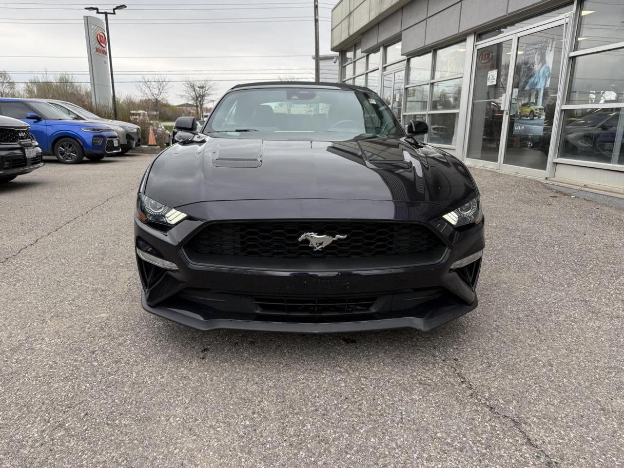 2023 Ford Mustang EcoBoost Premium Fastback Photo
