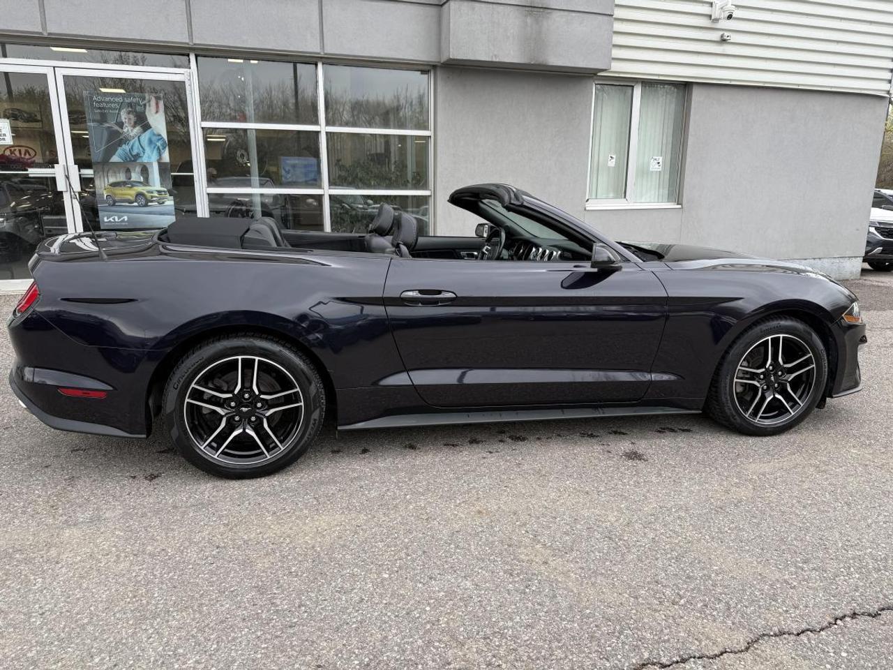 2023 Ford Mustang EcoBoost Premium Fastback Photo