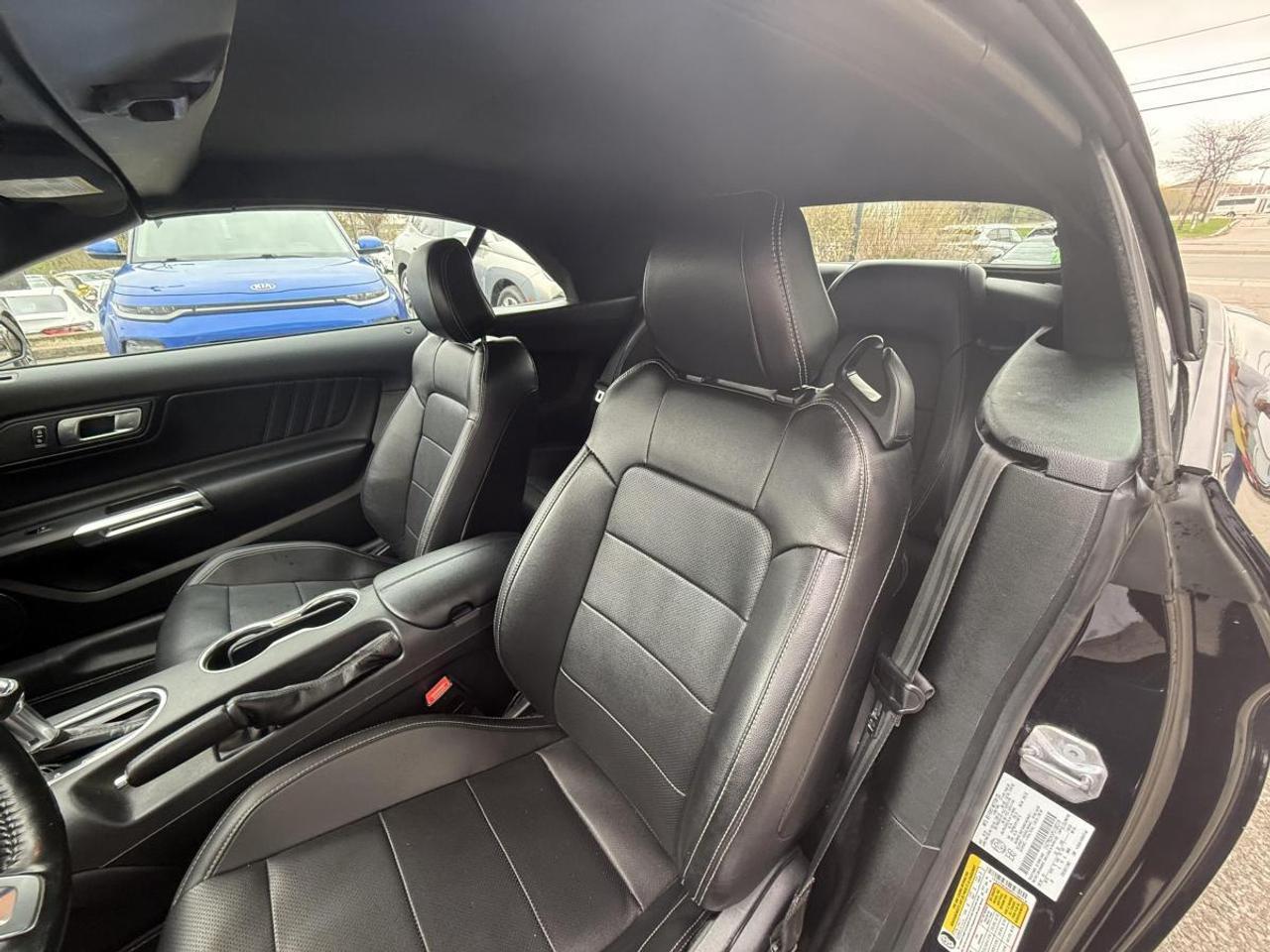 2023 Ford Mustang EcoBoost Premium Fastback Photo
