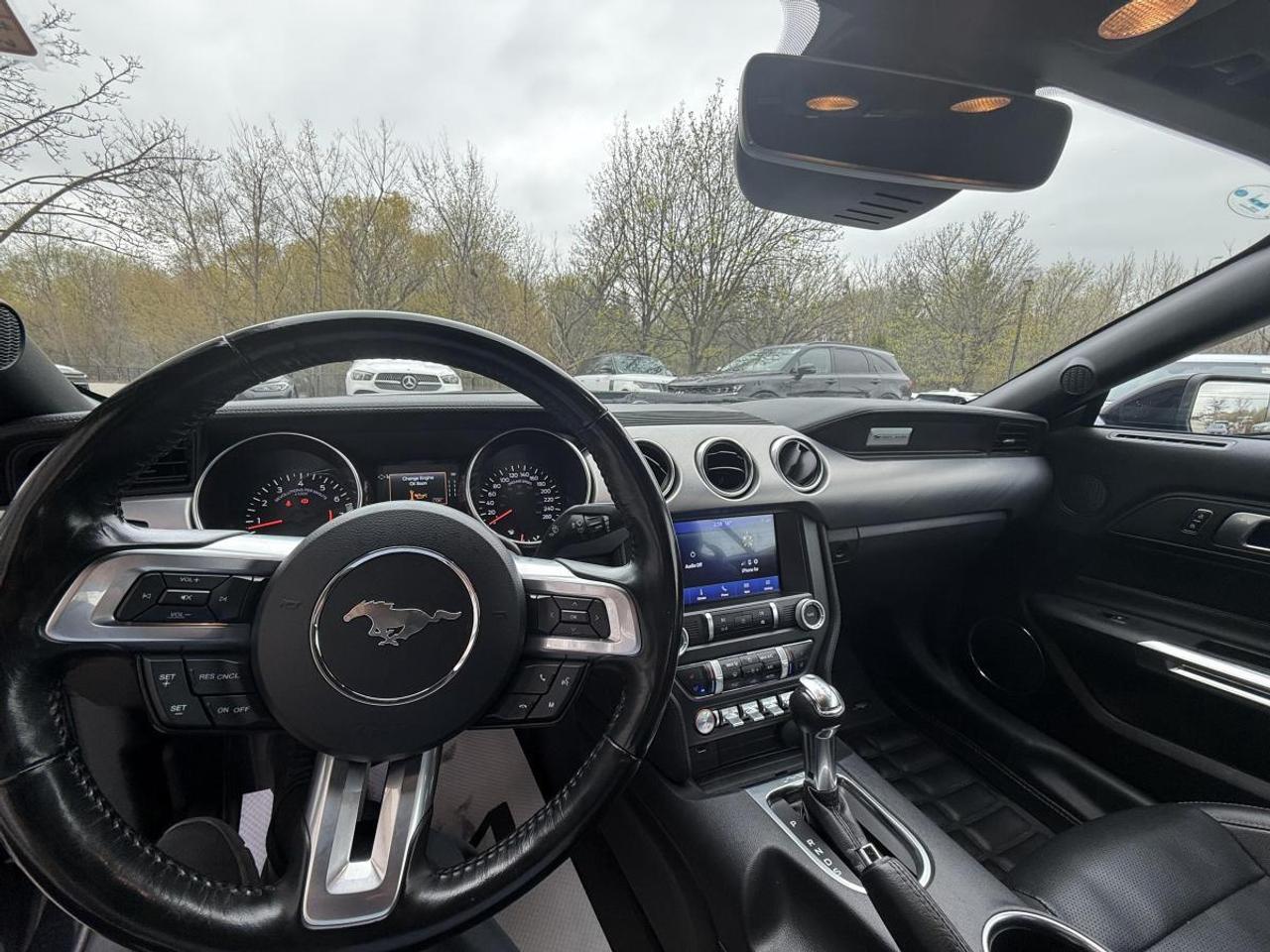2023 Ford Mustang EcoBoost Premium Fastback Photo