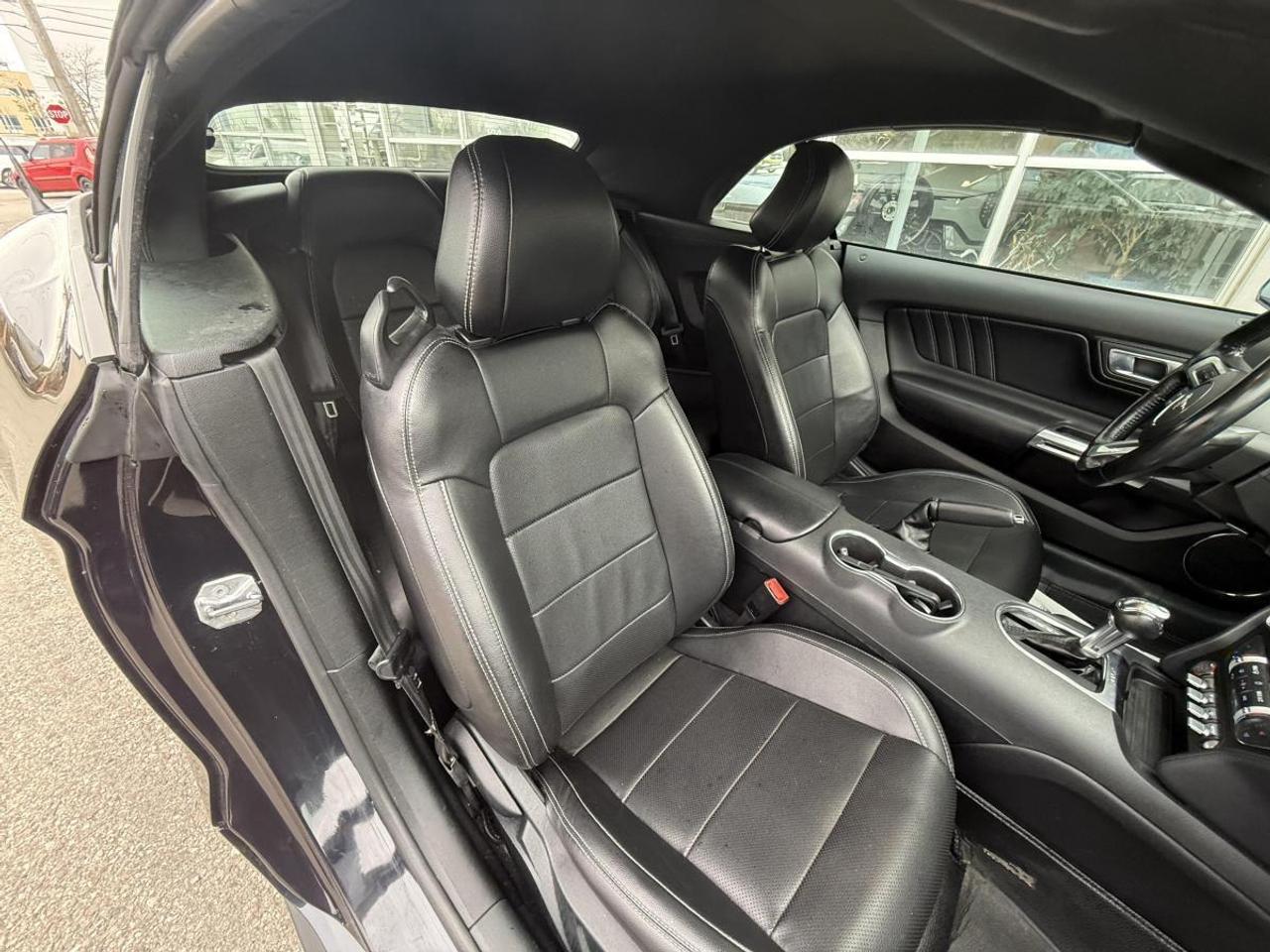 2023 Ford Mustang EcoBoost Premium Fastback Photo