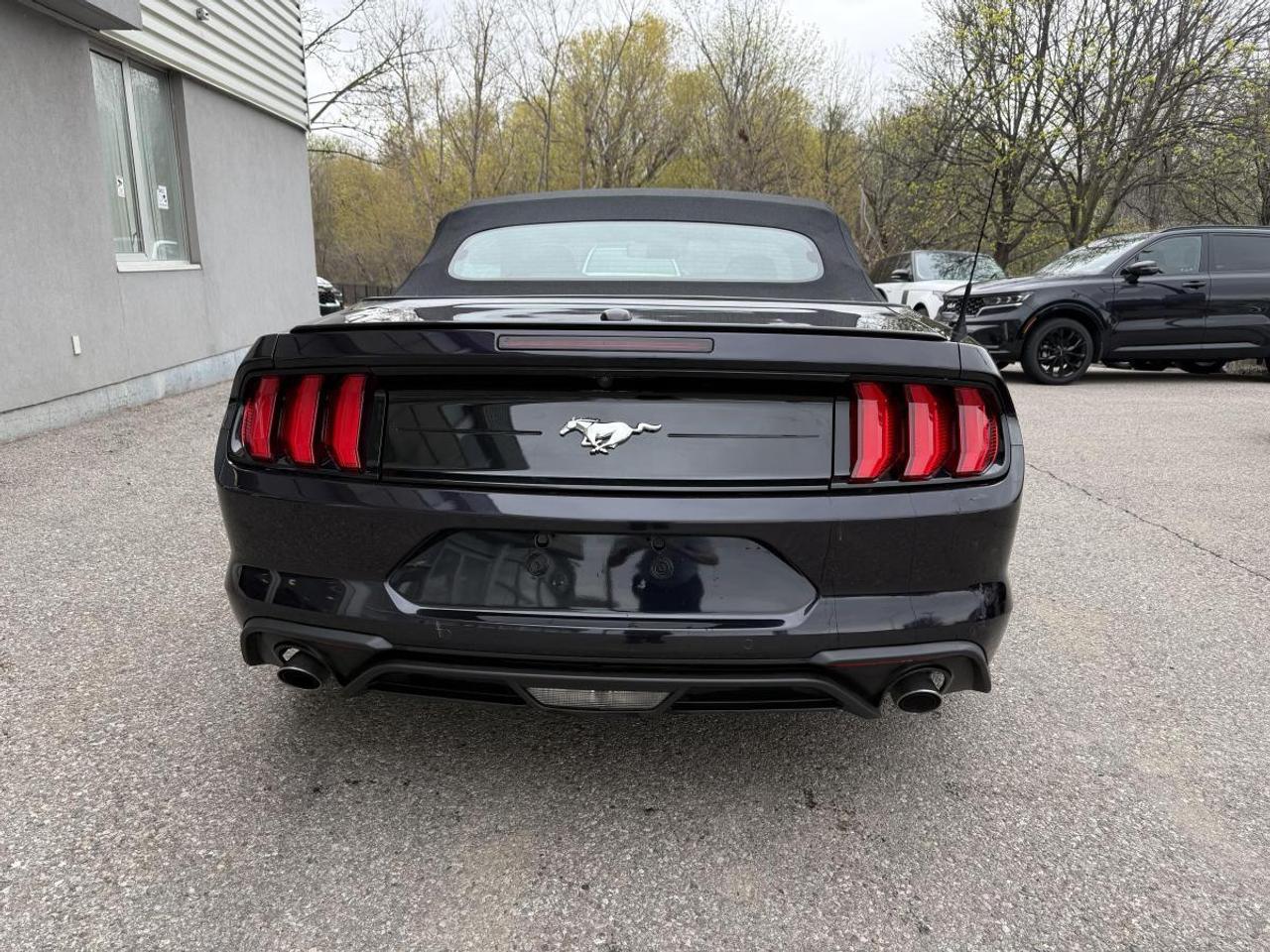 2023 Ford Mustang EcoBoost Premium Fastback Photo