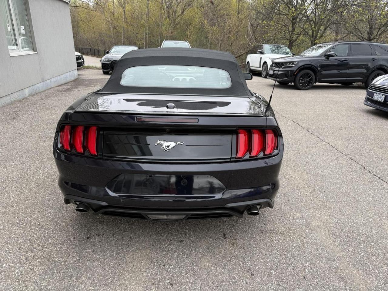 2023 Ford Mustang EcoBoost Premium Fastback Photo