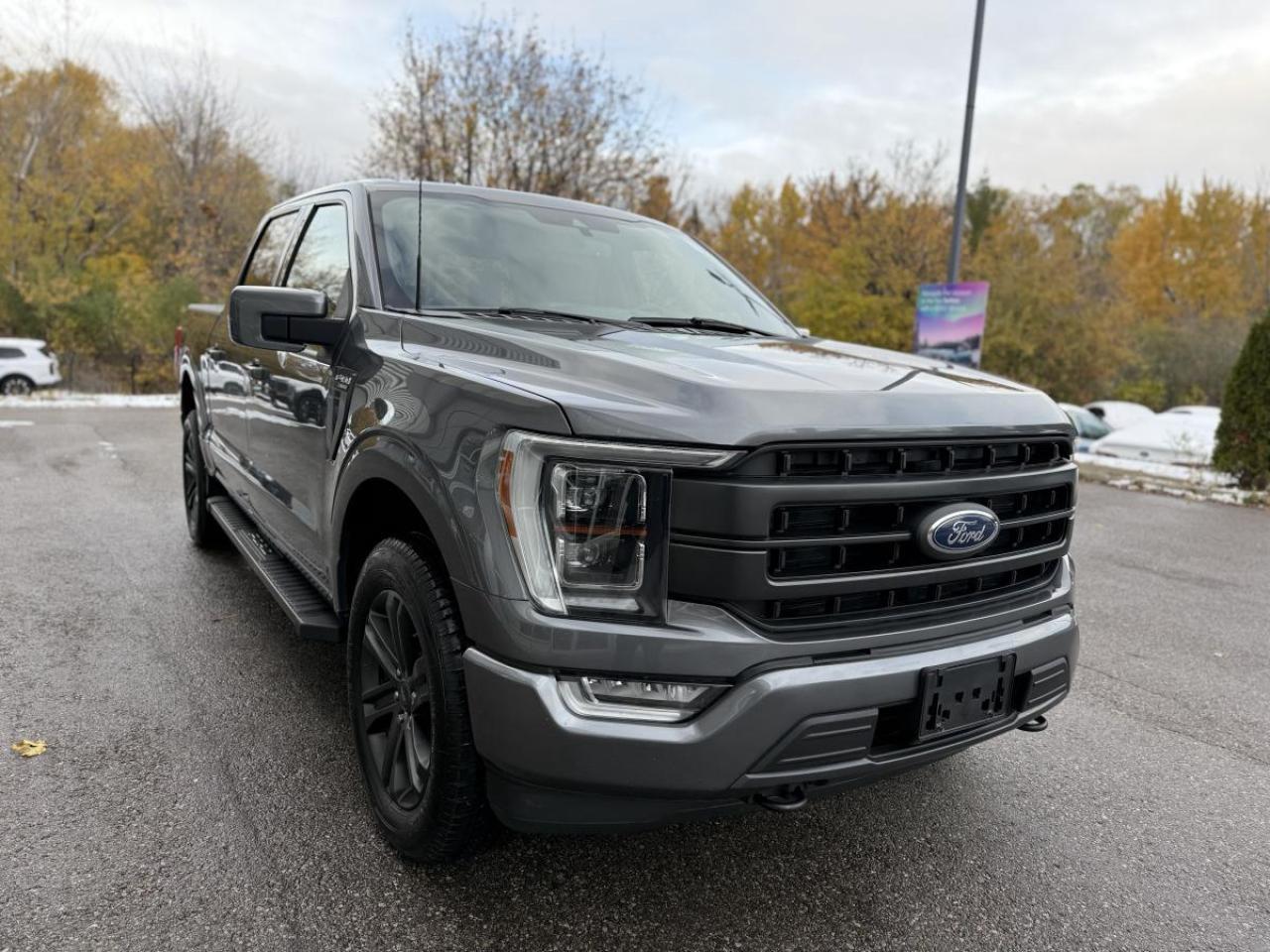 2021 Ford F-150 Lariat 4WD SuperCrew 5.5' Box Photo