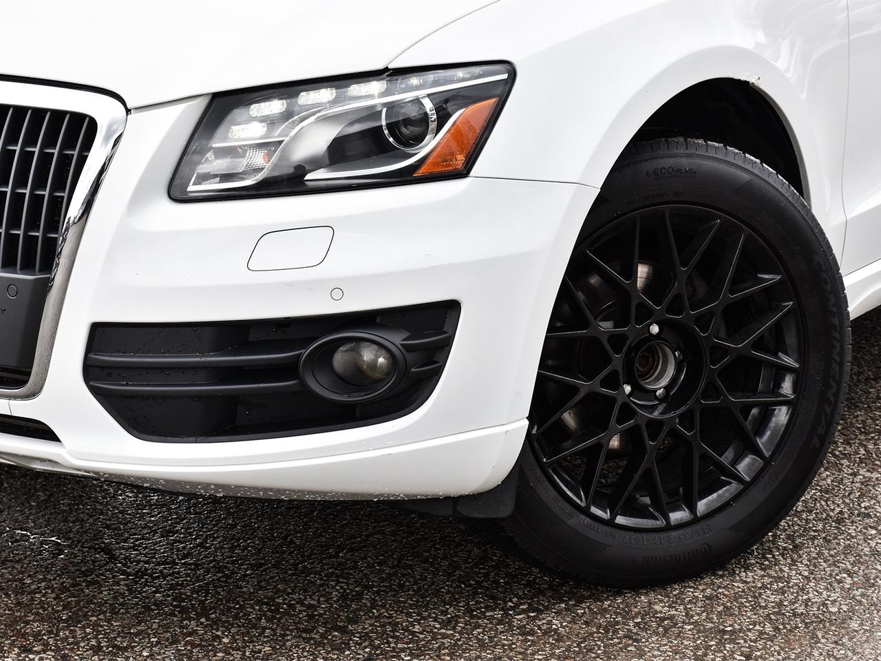 2012 Audi Q5 Quattro Premium Plus ~Nav ~Leather ~Moonroof ~Cam Photo