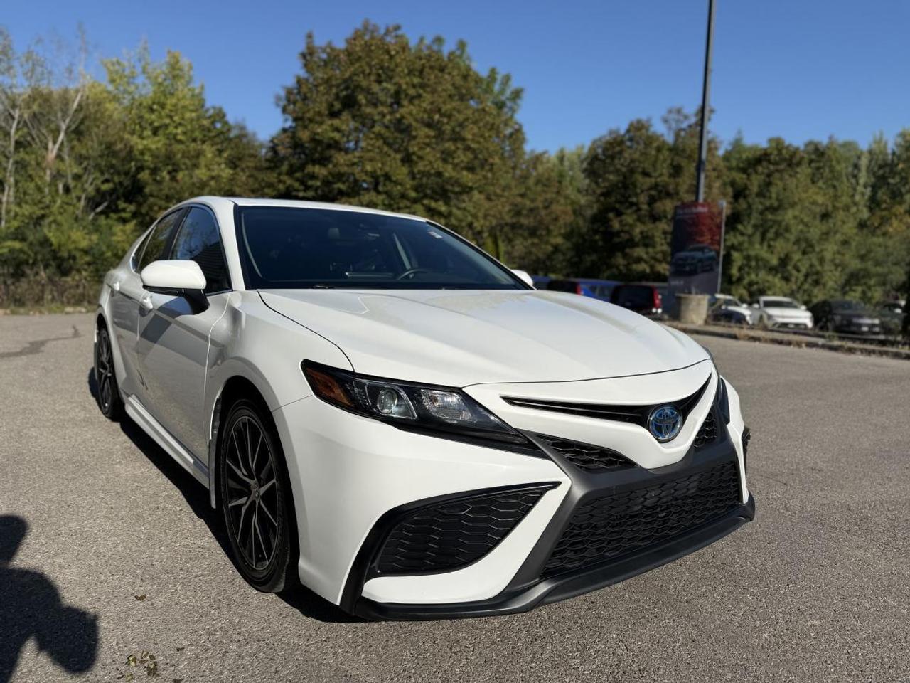 2024 Toyota Camry SE Auto AWD Photo