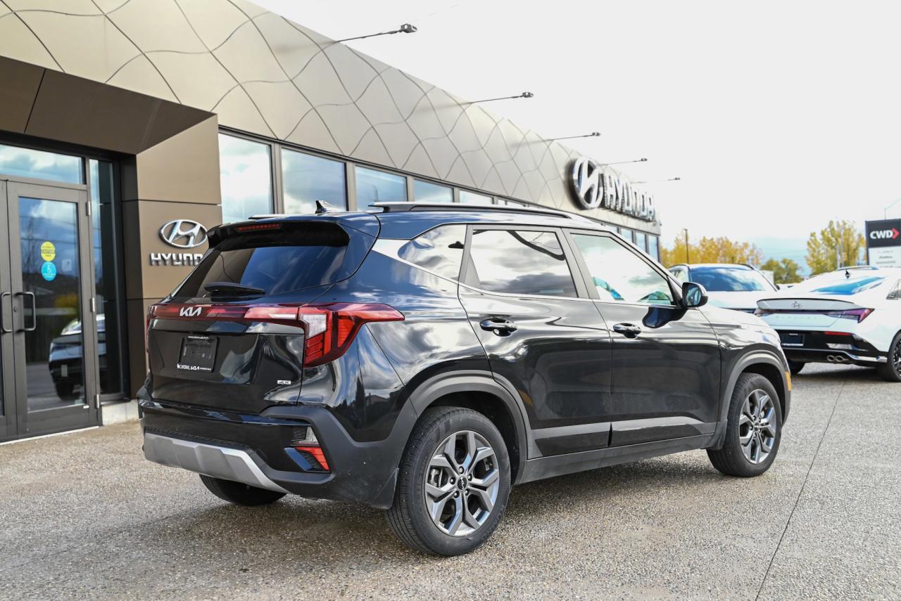 2024 Kia Seltos EX Photo