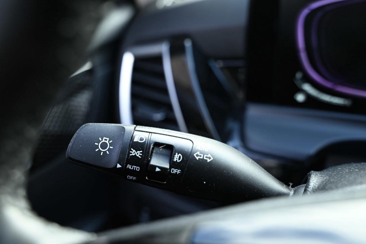 2024 Kia Seltos EX Photo