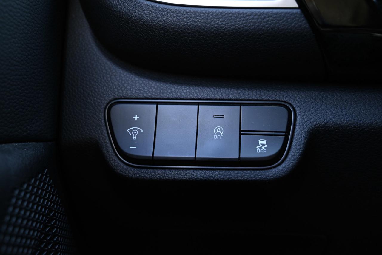 2024 Kia Seltos EX Photo