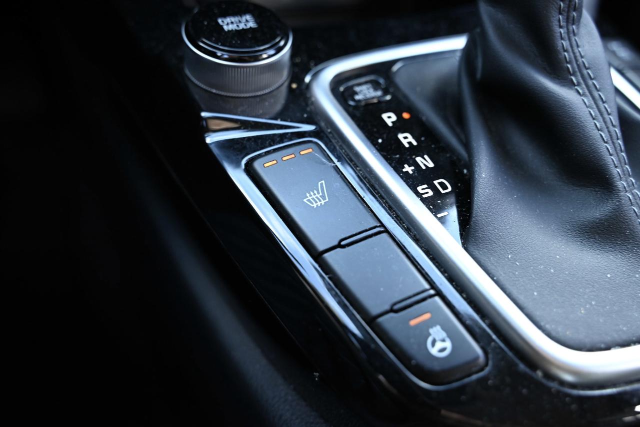 2024 Kia Seltos EX Photo