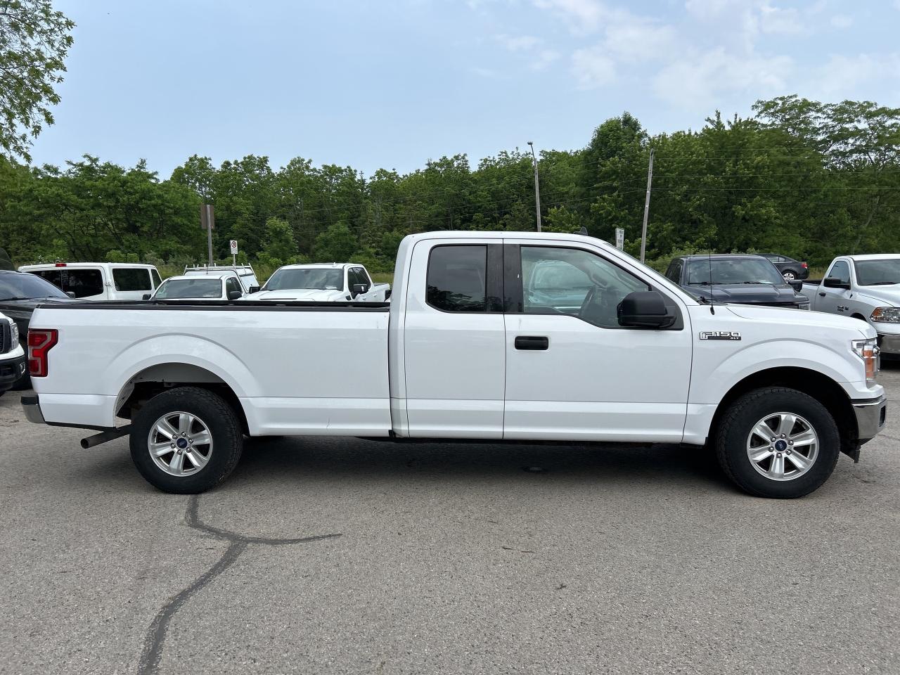 2020 Ford F-150 XLT, 8' BOX, CLEAN CARFAX, BACK UP CAMERA! Photo4
