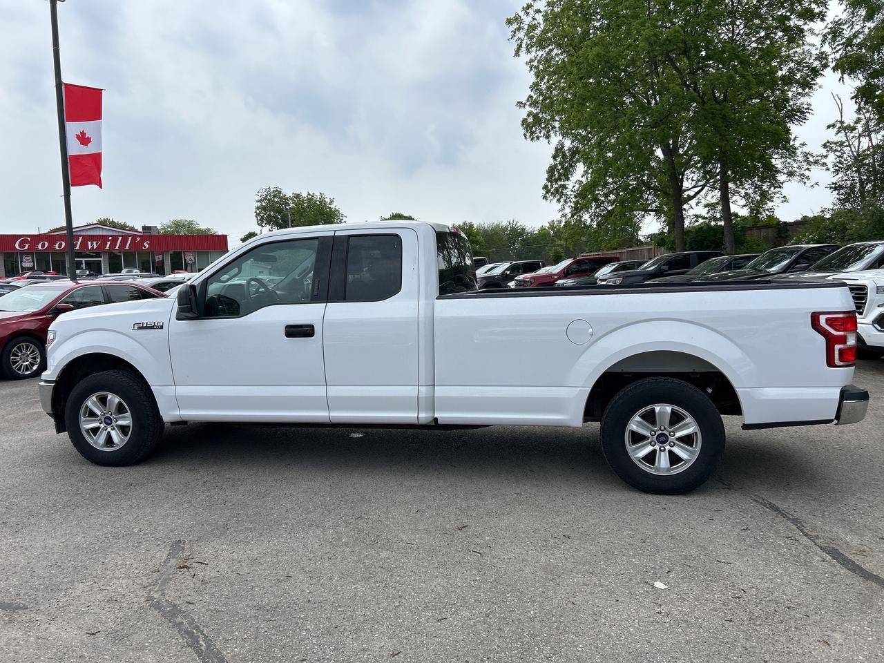 2020 Ford F-150 XLT, 8' BOX, CLEAN CARFAX, BACK UP CAMERA! Photo