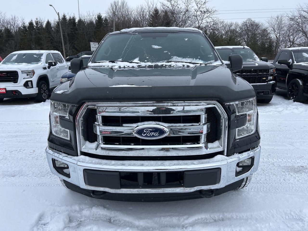 2016 Ford F-150 XLT, REG CAB 4X4, 8 FT BOX, BACK UP CAMERA! Photo