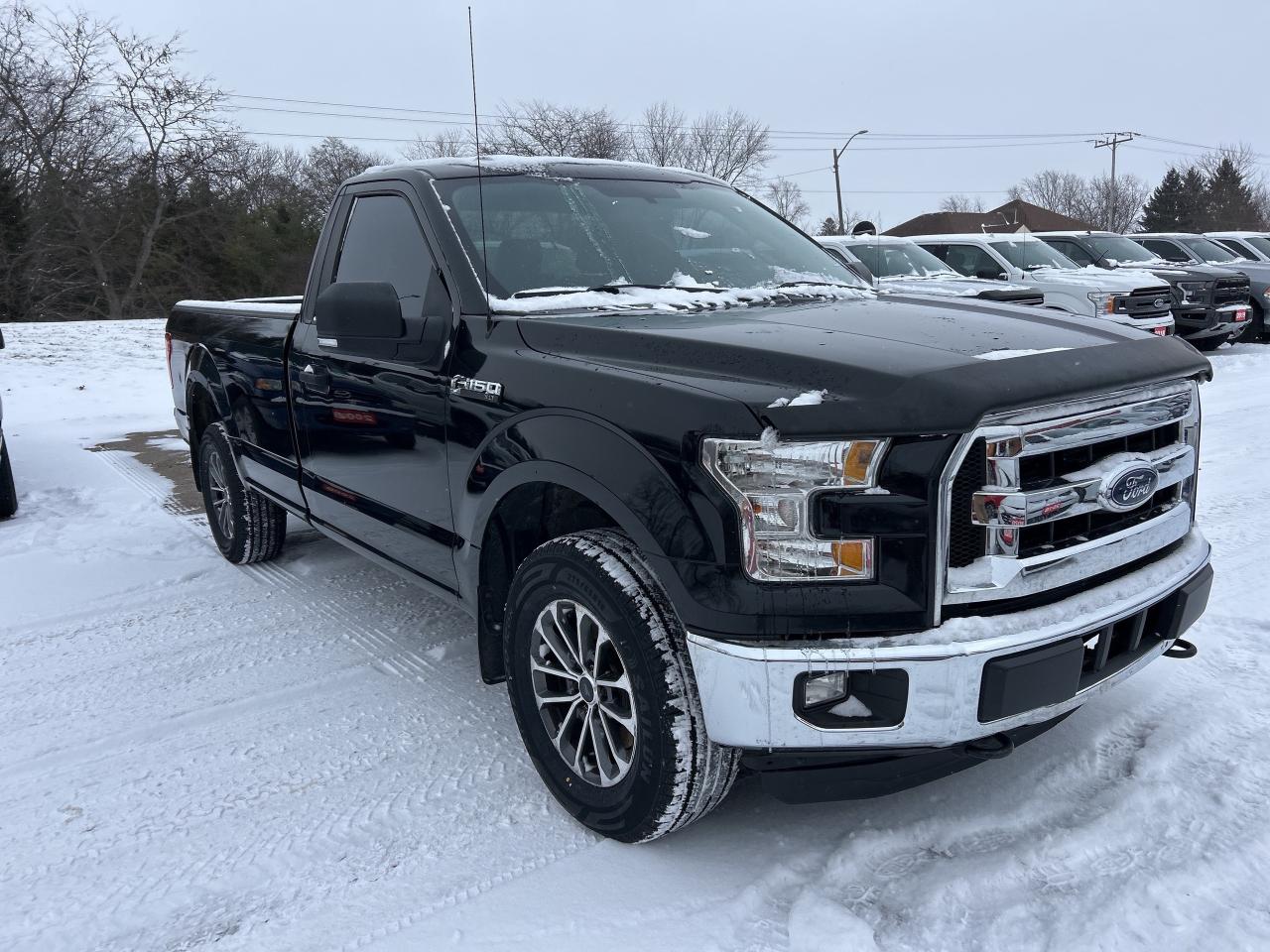 2016 Ford F-150 XLT, REG CAB 4X4, 8 FT BOX, BACK UP CAMERA! Photo3