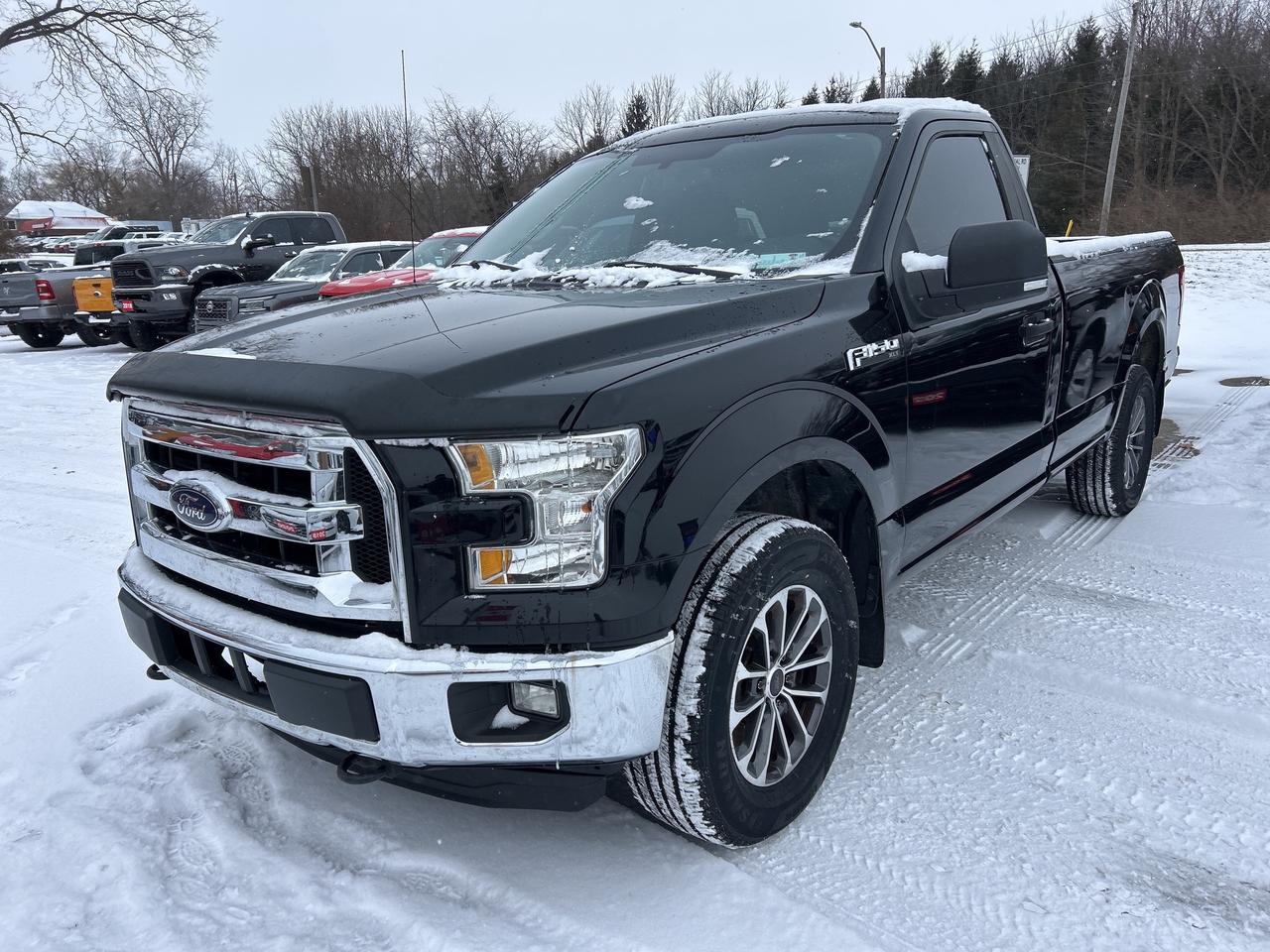2016 Ford F-150 XLT, REG CAB 4X4, 8 FT BOX, BACK UP CAMERA! Photo