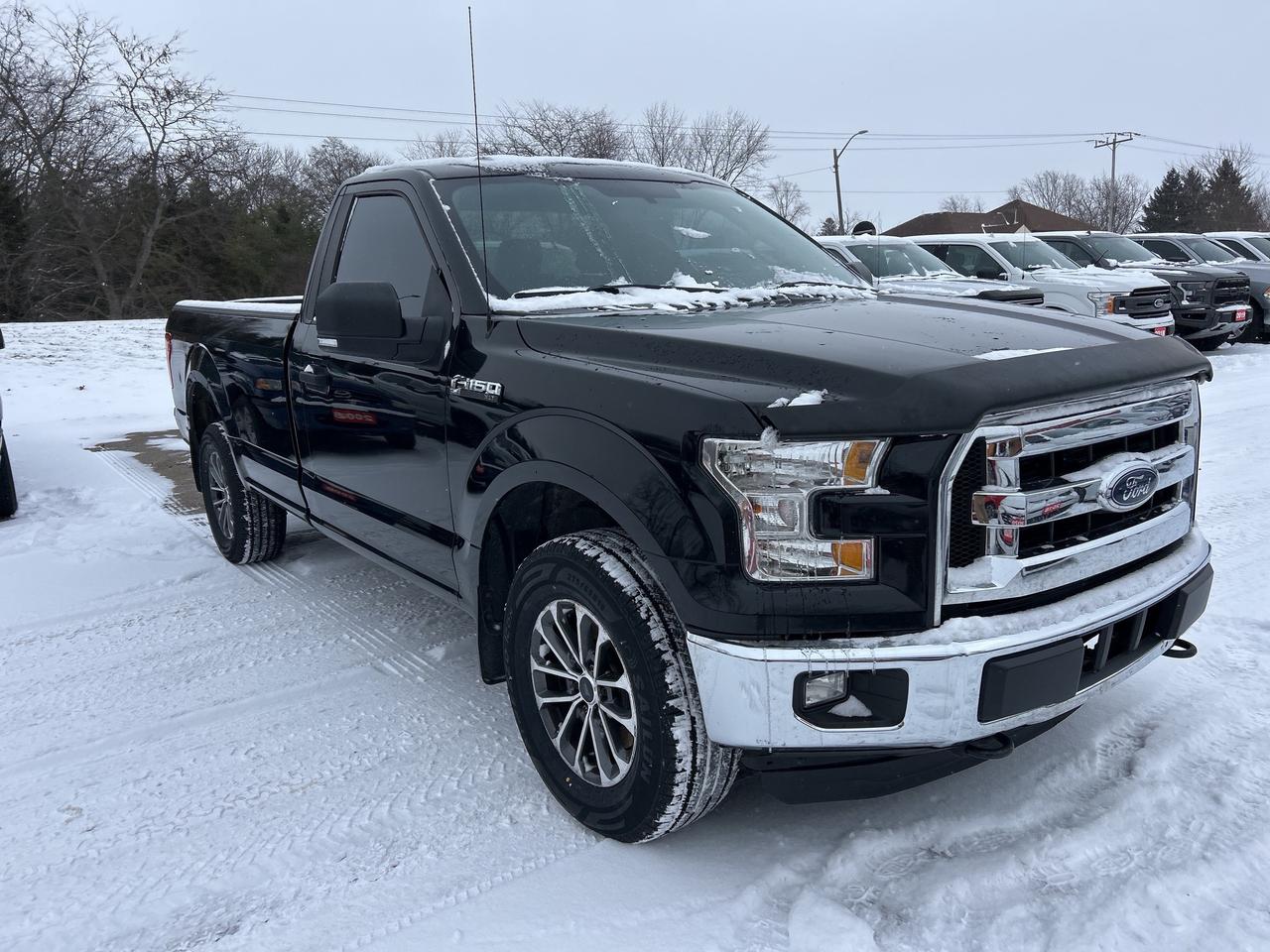 2016 Ford F-150 XLT, REG CAB 4X4, 8 FT BOX, BACK UP CAMERA! Photo3