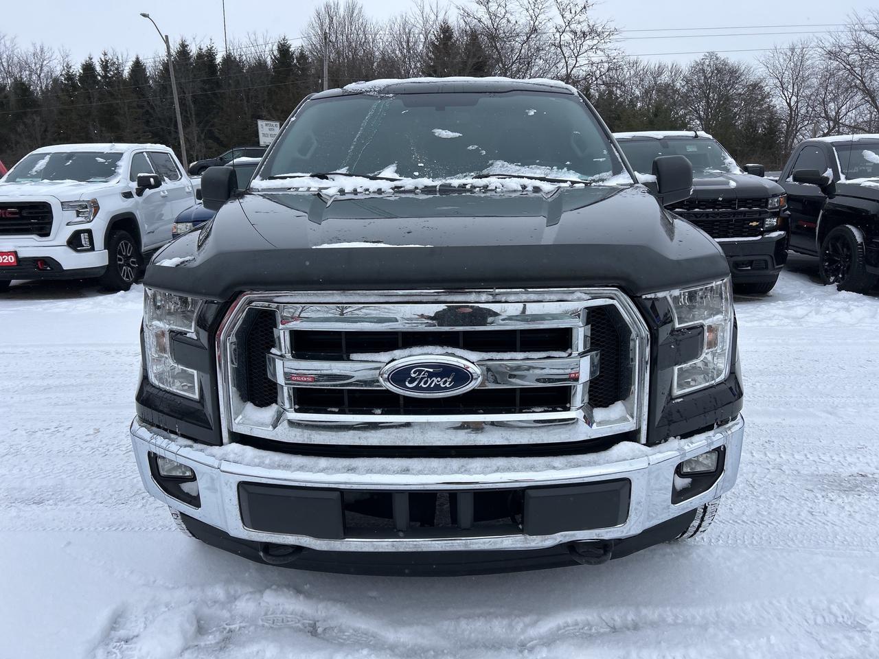 2016 Ford F-150 XLT, REG CAB 4X4, 8 FT BOX, BACK UP CAMERA! Photo2