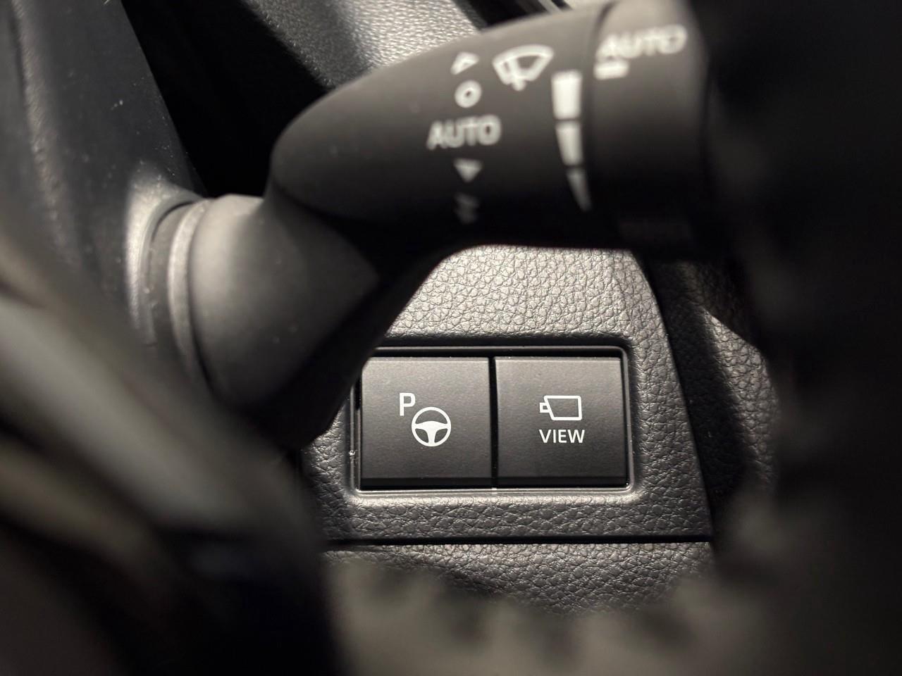 2024 Toyota Prius XLE Photo