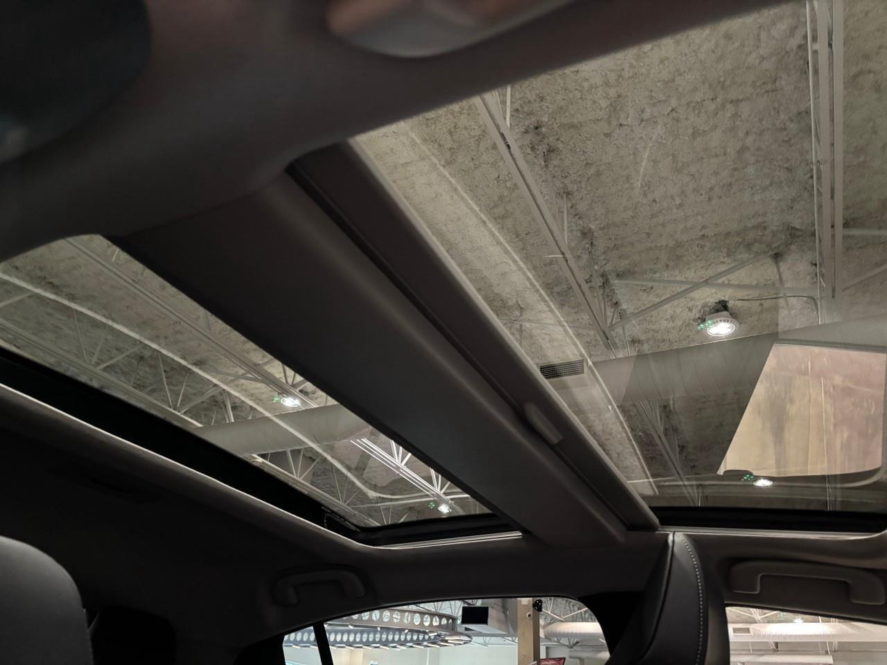 2024 Toyota Prius XLE Photo