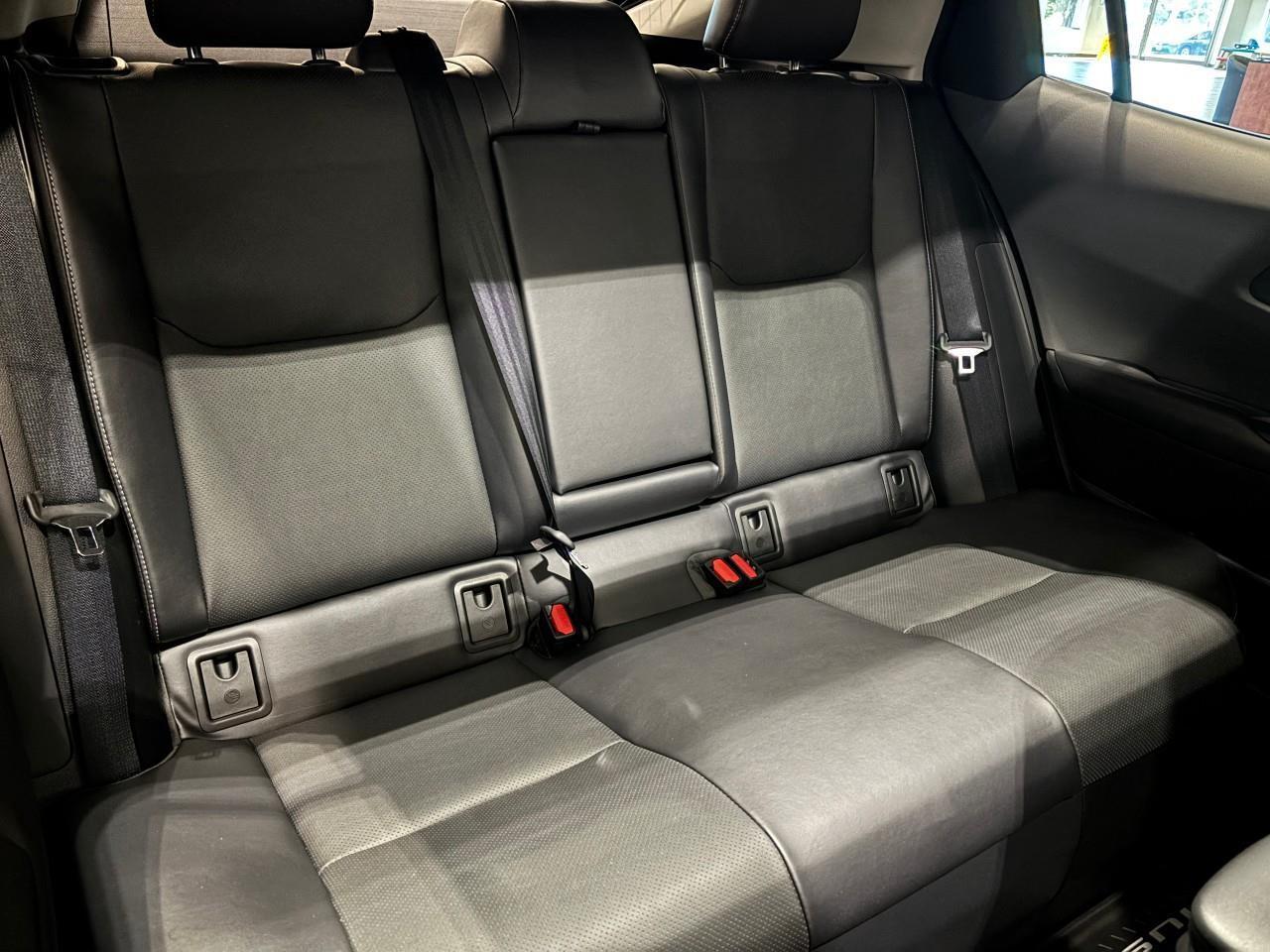 2024 Toyota Prius XLE Photo