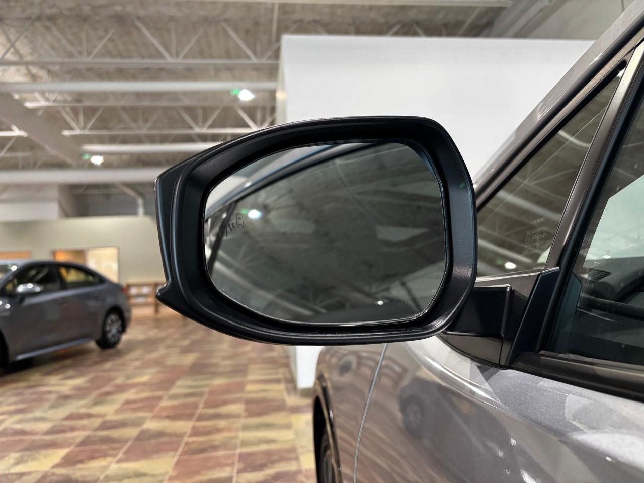 2024 Toyota Prius XLE Photo