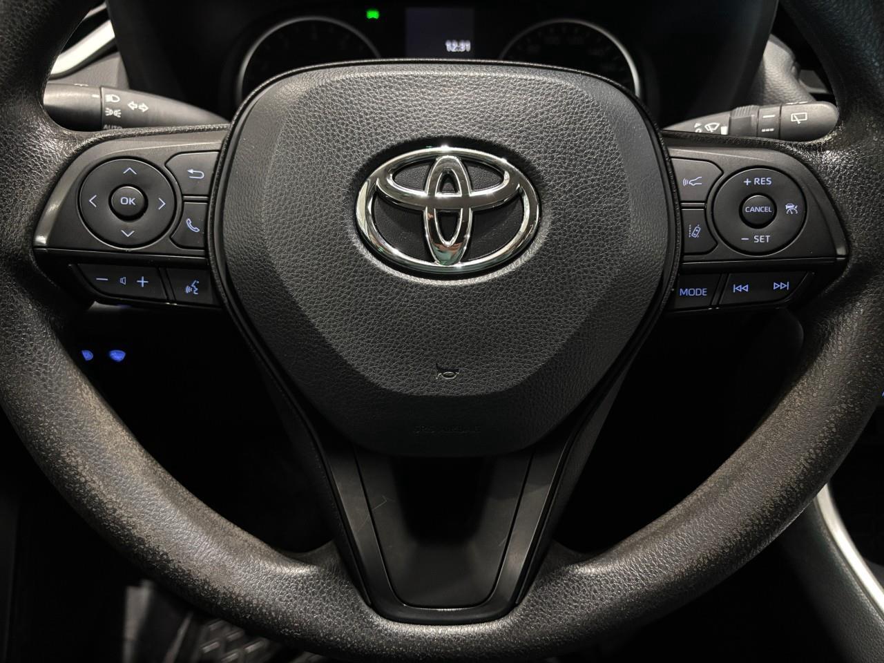2022 Toyota RAV4 LE Photo