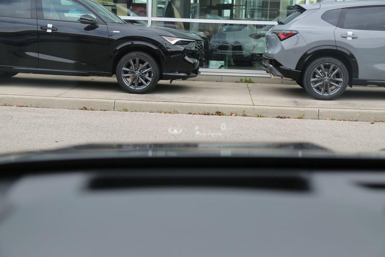 2023 Toyota Highlander  Photo