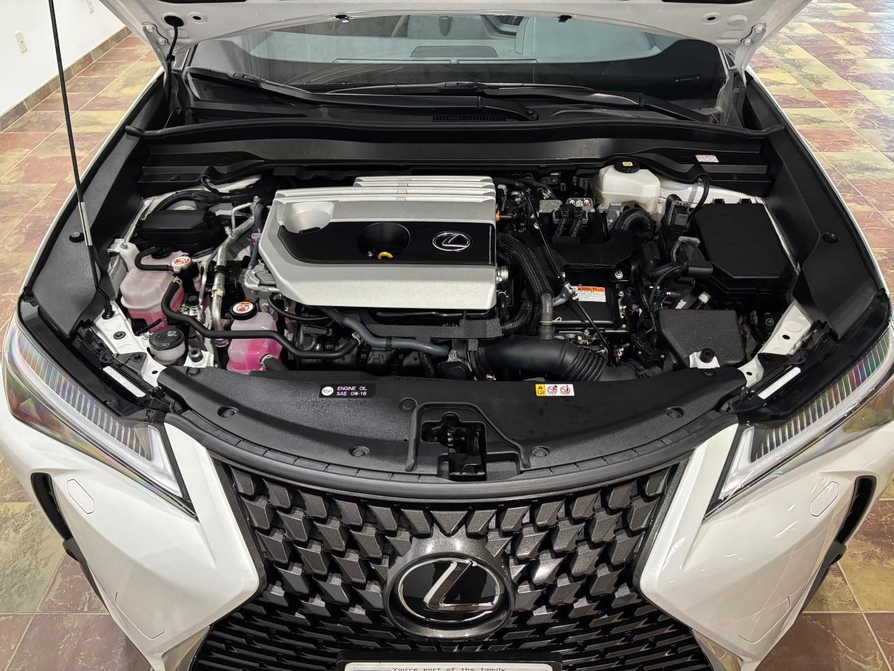 2024 Lexus UX 250H PREMIUM PACKAGE   LEXUS CERTIFIED PRE-OWNED   CARF Photo