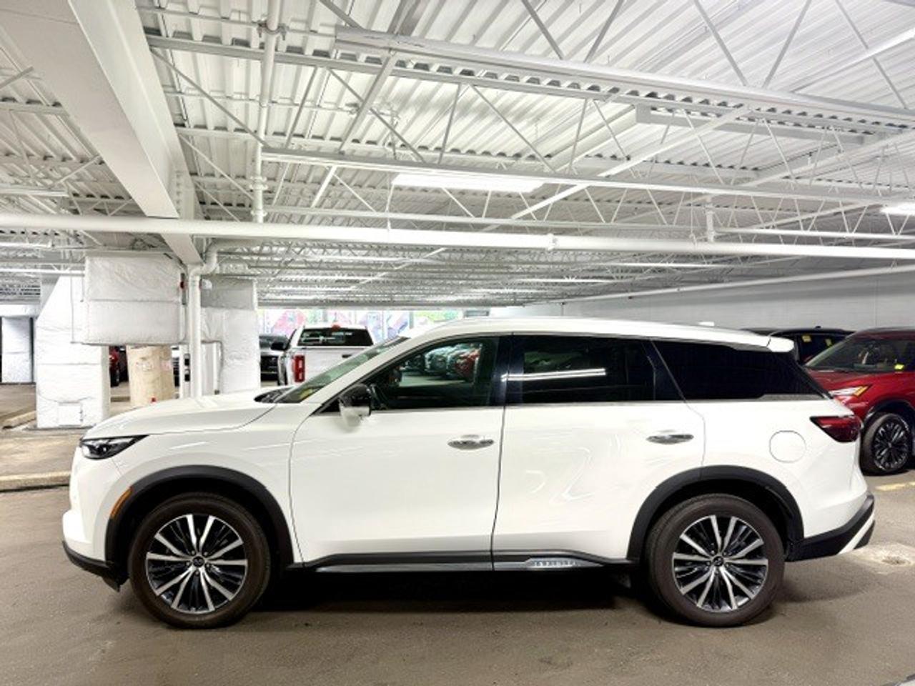 2023 Infiniti QX60 Sensory w/o Tow 4dr All-Wheel Drive Photo