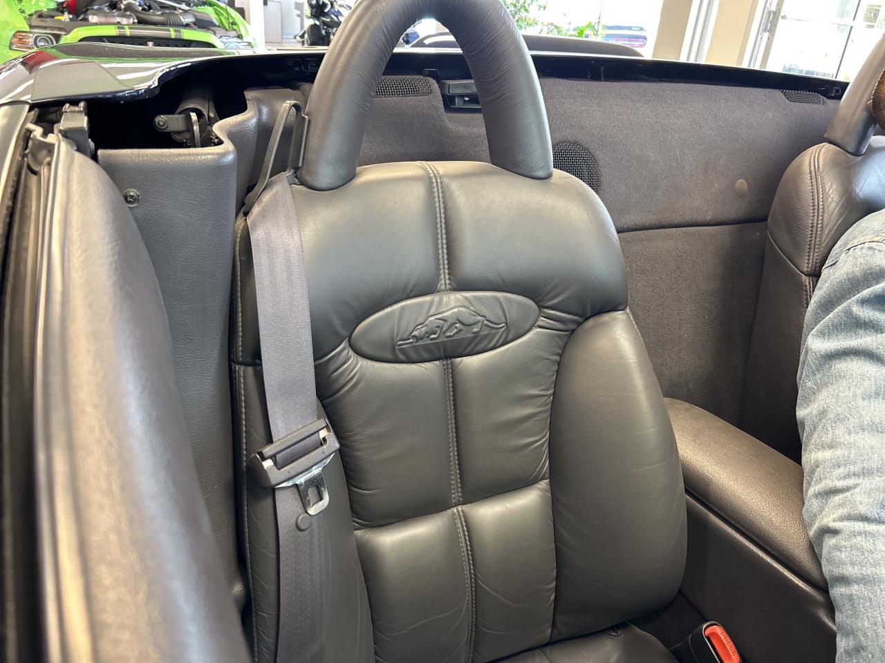 2001 Plymouth Prowler ROADSTER, LEATHER, CLEAN CARFAX, LIKE NEW! Photo