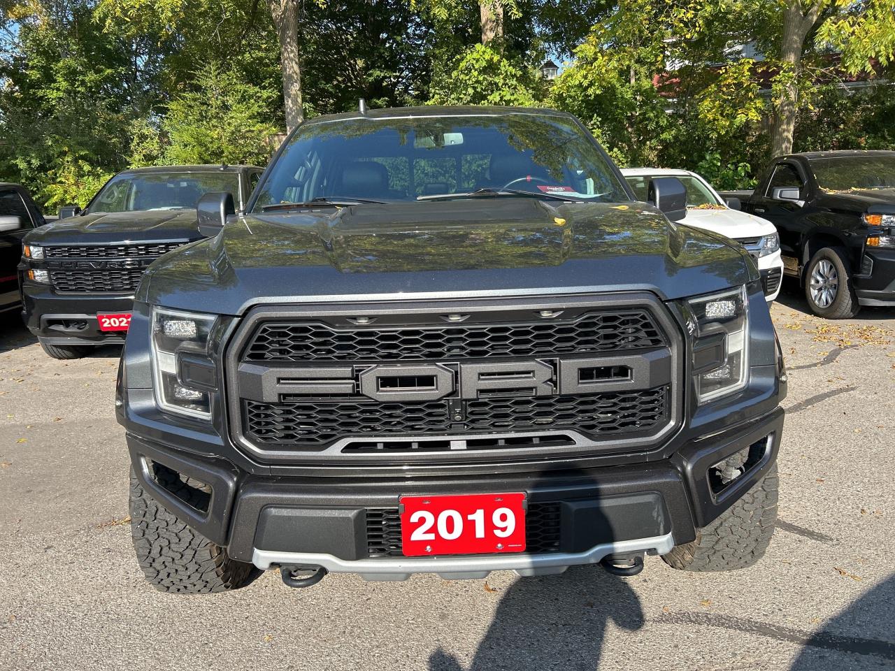 2019 Ford F-150 RAPTOR, SUNROOF, REMOTE START, LEATHER! Photo2