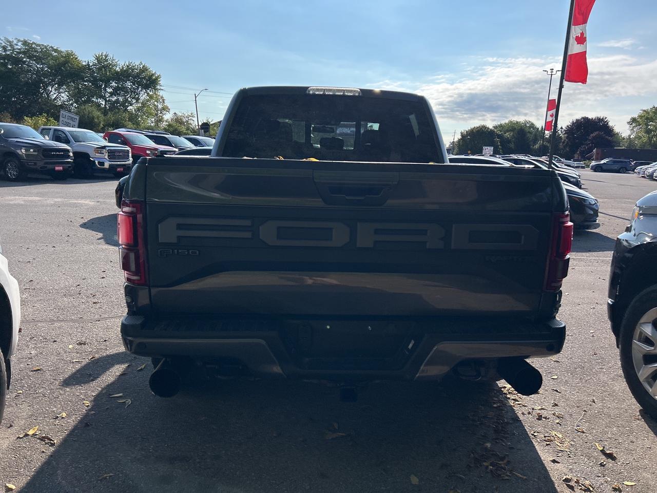 2019 Ford F-150 RAPTOR, SUNROOF, REMOTE START, LEATHER! Photo