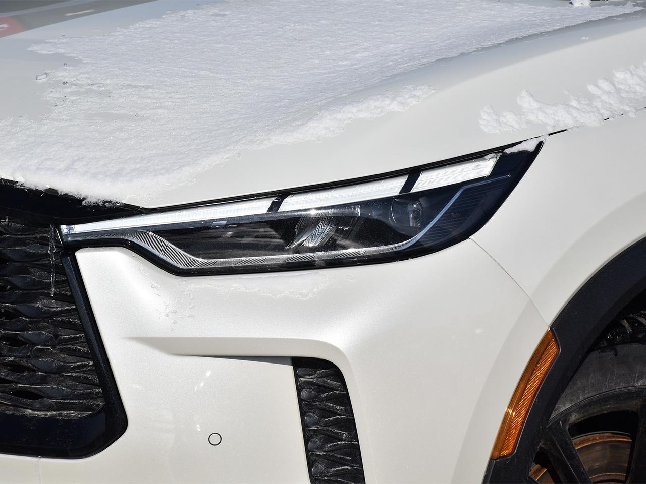 2025 Infiniti QX60 BLACK EDITION  - Navigation Photo