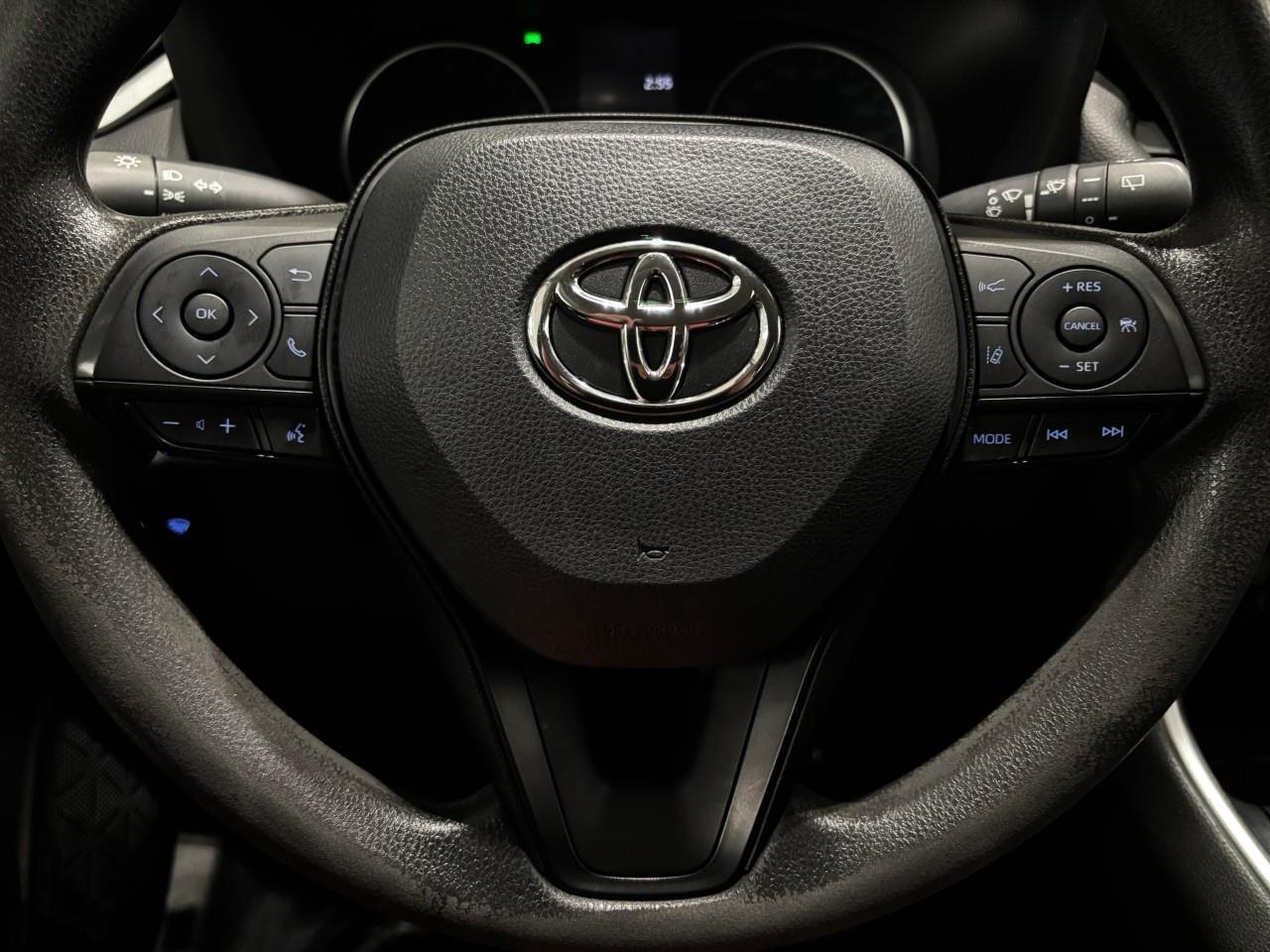 2022 Toyota RAV4 LE Photo