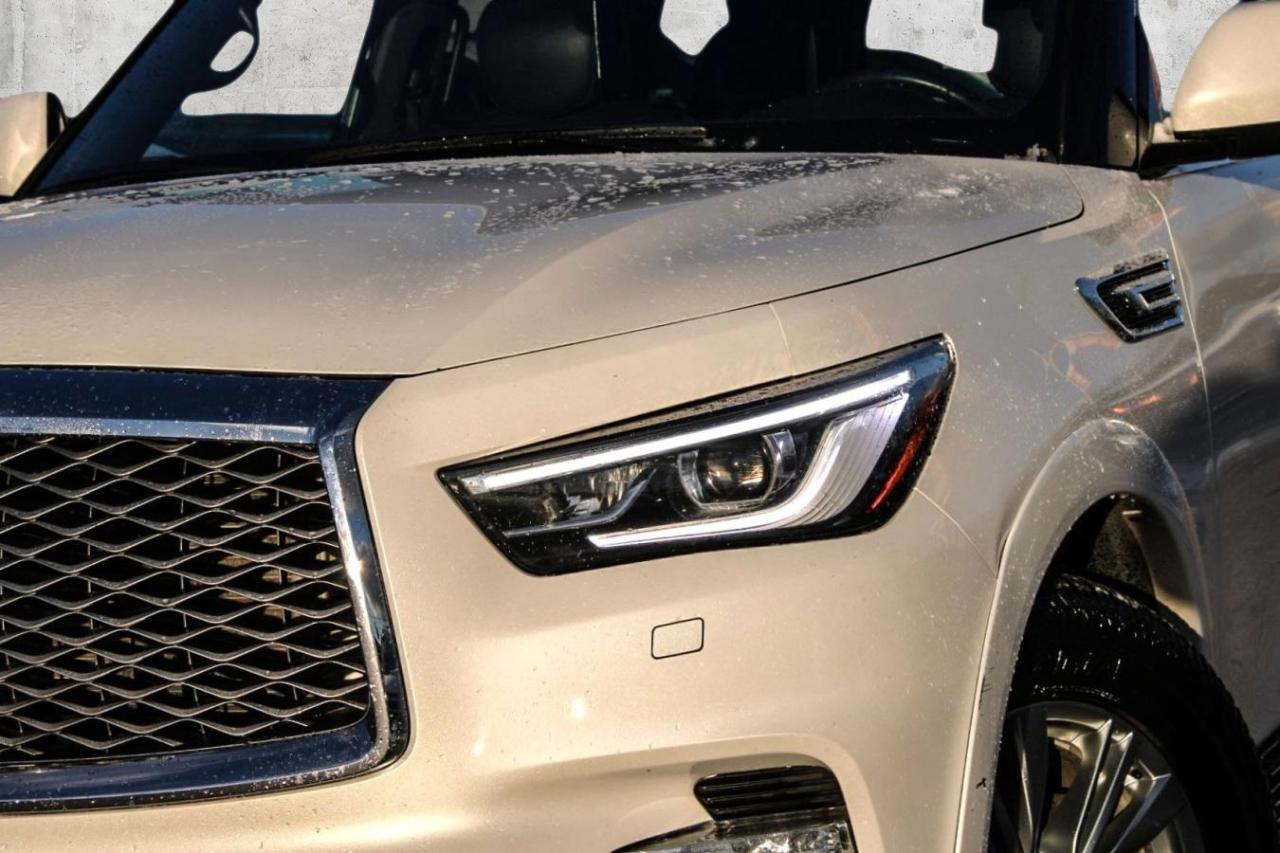 2021 Infiniti QX80  Photo