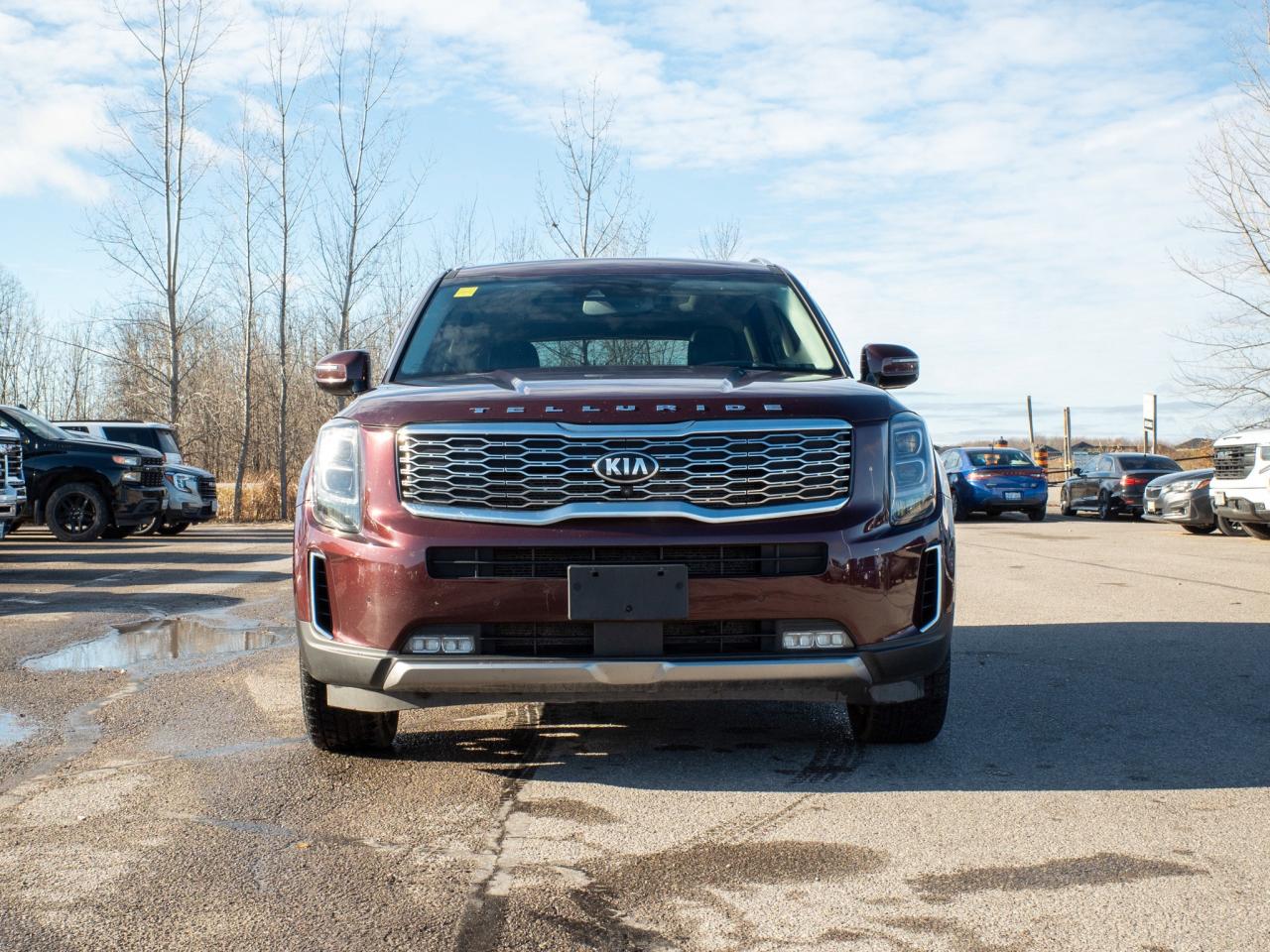 2020 Kia Telluride SX -  Sun/Moonroof Photo2