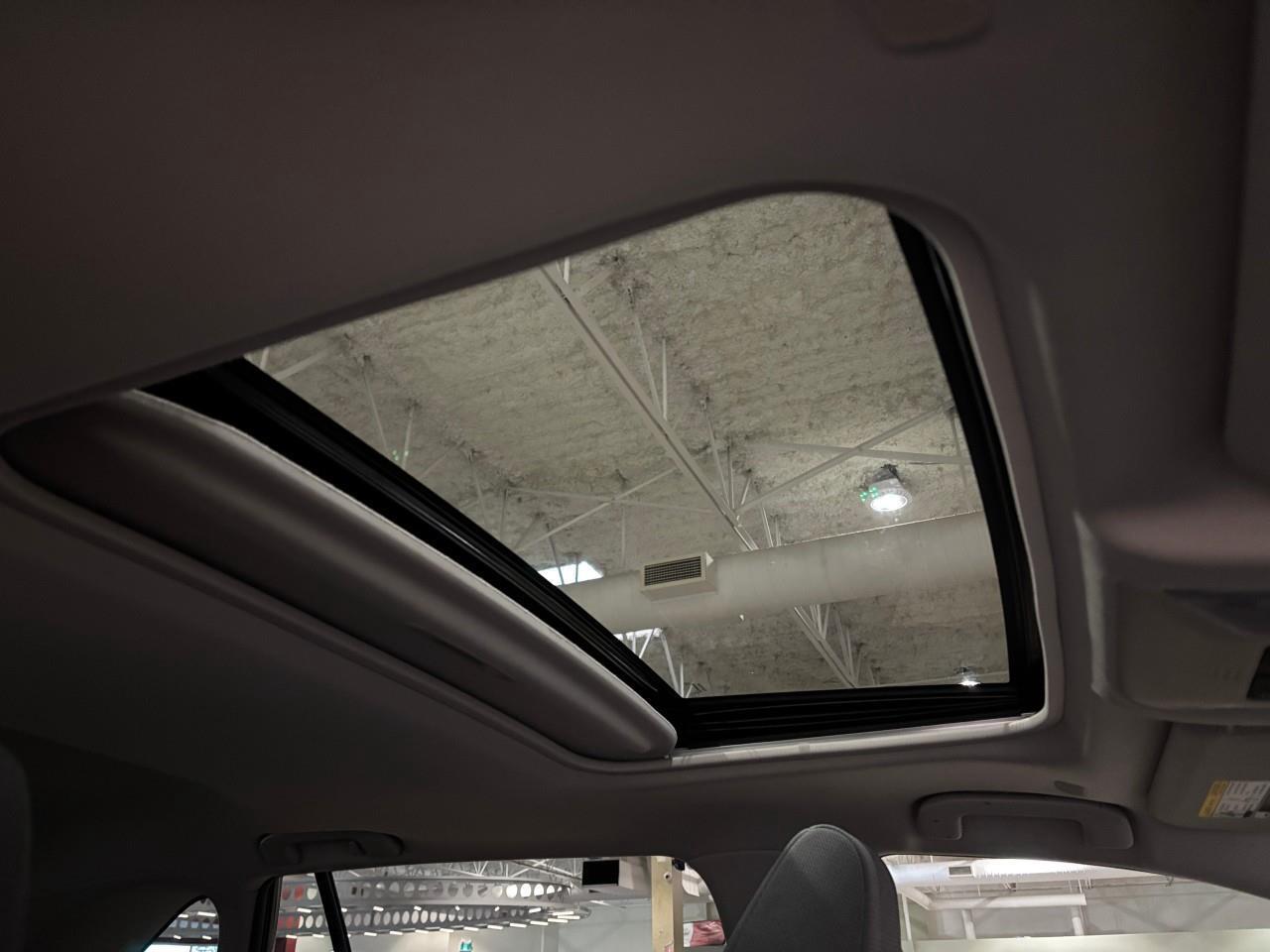 2024 Toyota RAV4 XLE Photo