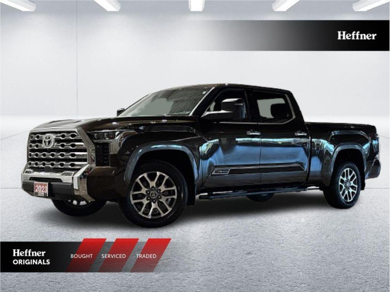 2023 Toyota Tundra Platinum Photo0