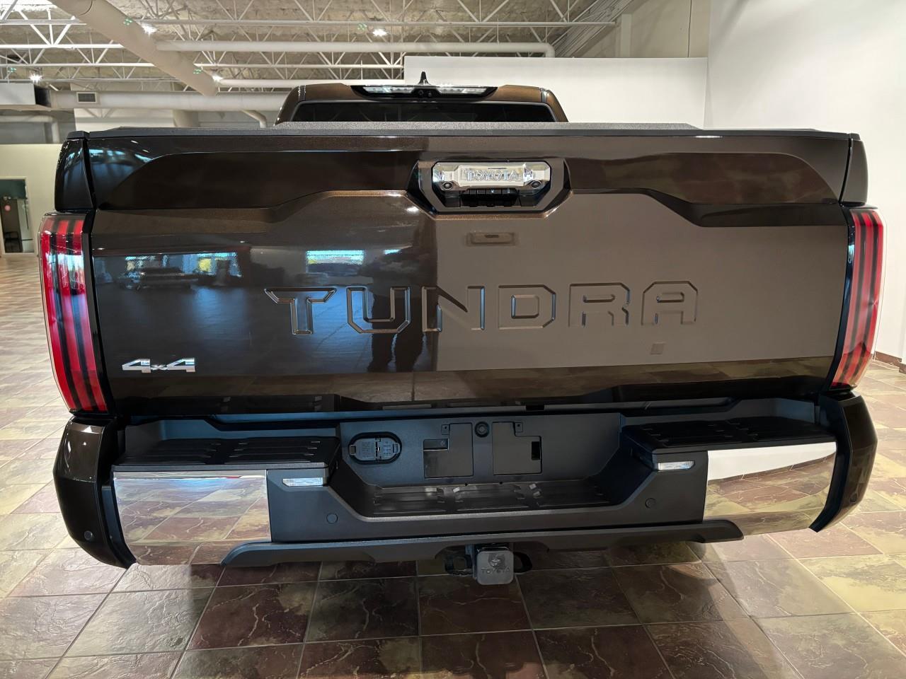 2023 Toyota Tundra Platinum Photo