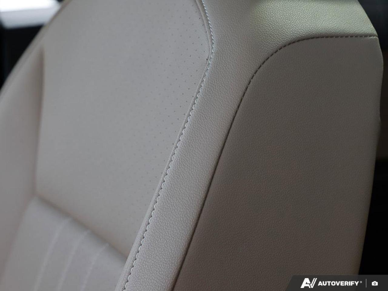 2023 Volkswagen Tiguan Comfortline R-Line Black EditionONE-OWNER, ACCIDEN Photo