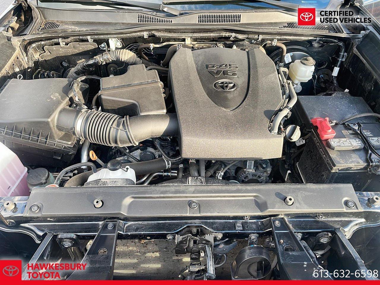 2022 Toyota Tacoma TRD sport 2022 Toyota Tacoma TRD Sport / Toyota Ta Photo