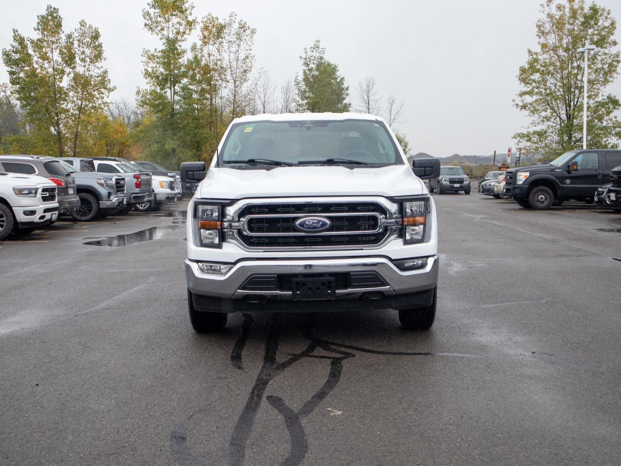 2023 Ford F-150 XLT - Two Sets of Tires, Cooled Front Seat(s) Photo