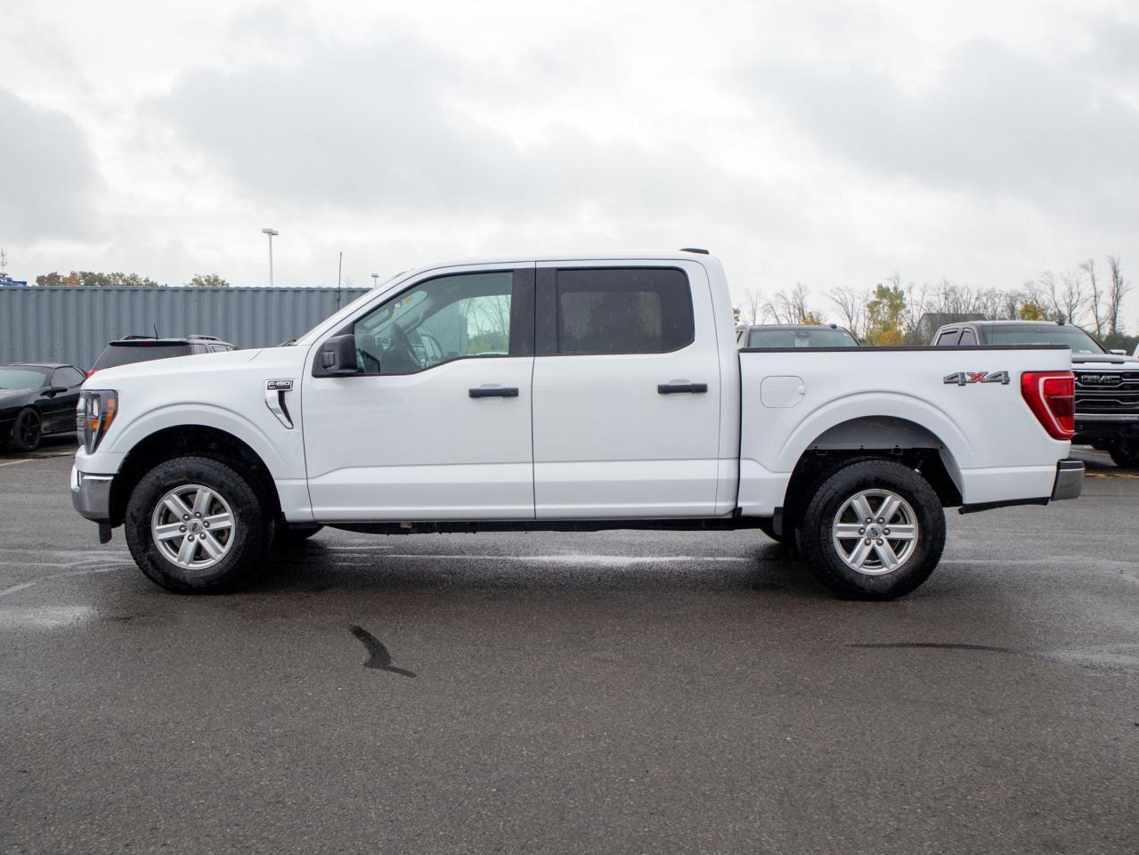 2023 Ford F-150 XLT - Two Sets of Tires, Cooled Front Seat(s) Photo4