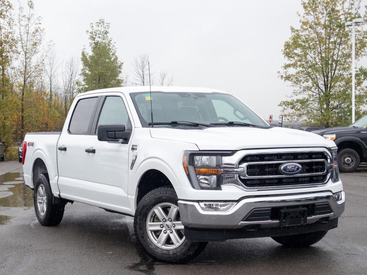 2023 Ford F-150 XLT - Two Sets of Tires, Cooled Front Seat(s) Photo