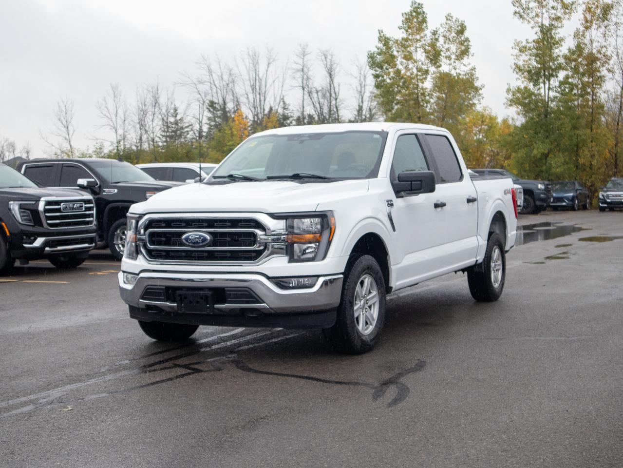 2023 Ford F-150 XLT - Two Sets of Tires, Cooled Front Seat(s) Photo3