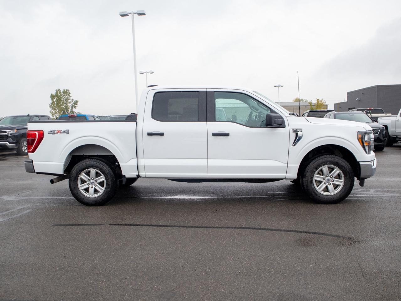 2023 Ford F-150 XLT - Two Sets of Tires, Cooled Front Seat(s) Photo