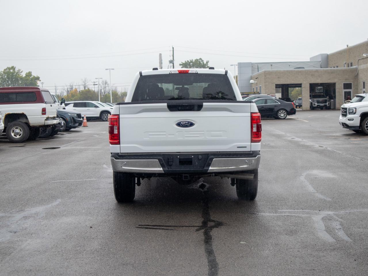 2023 Ford F-150 XLT - Two Sets of Tires, Cooled Front Seat(s) Photo