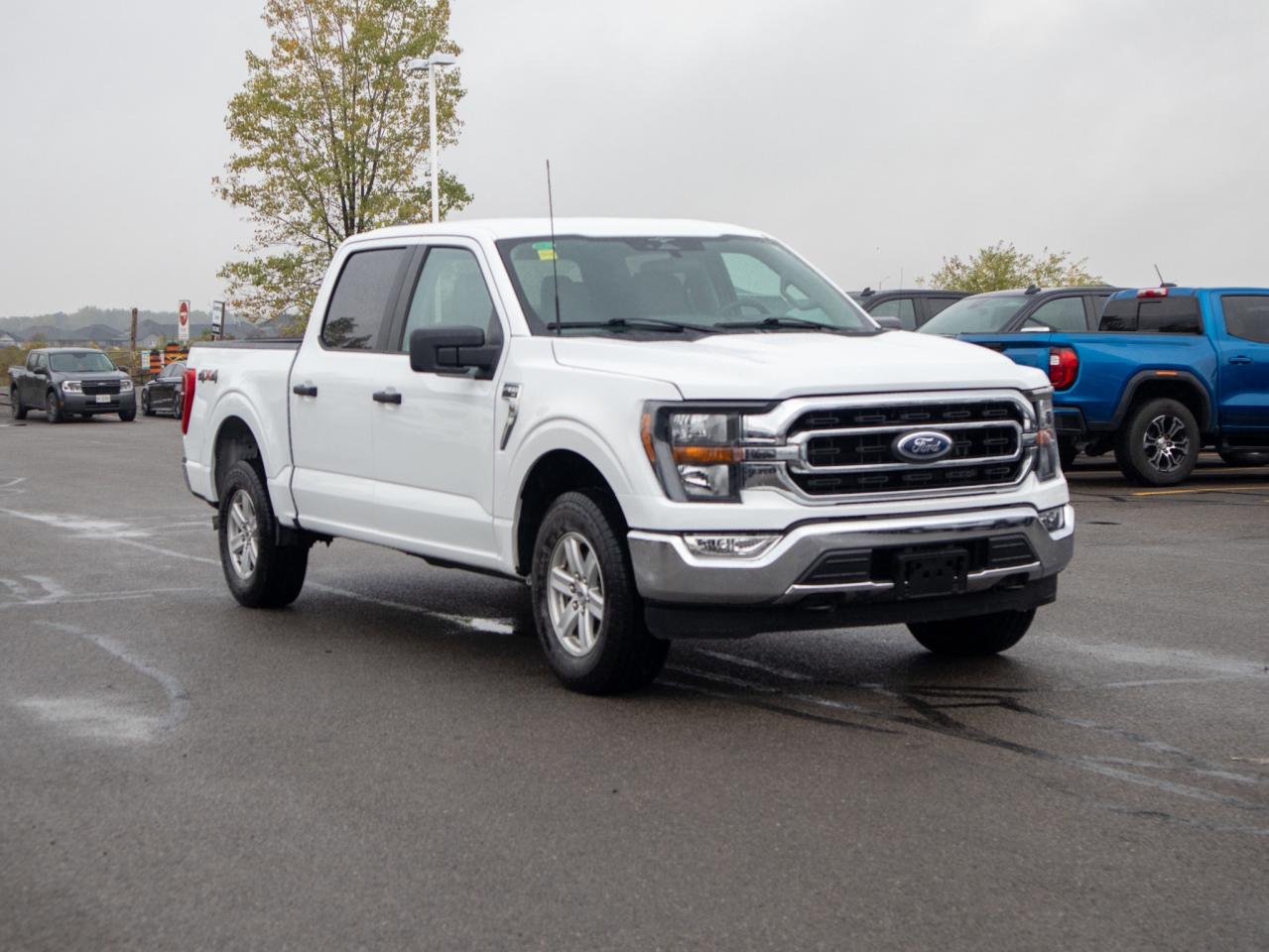 2023 Ford F-150 XLT - Two Sets of Tires, Cooled Front Seat(s) Photo