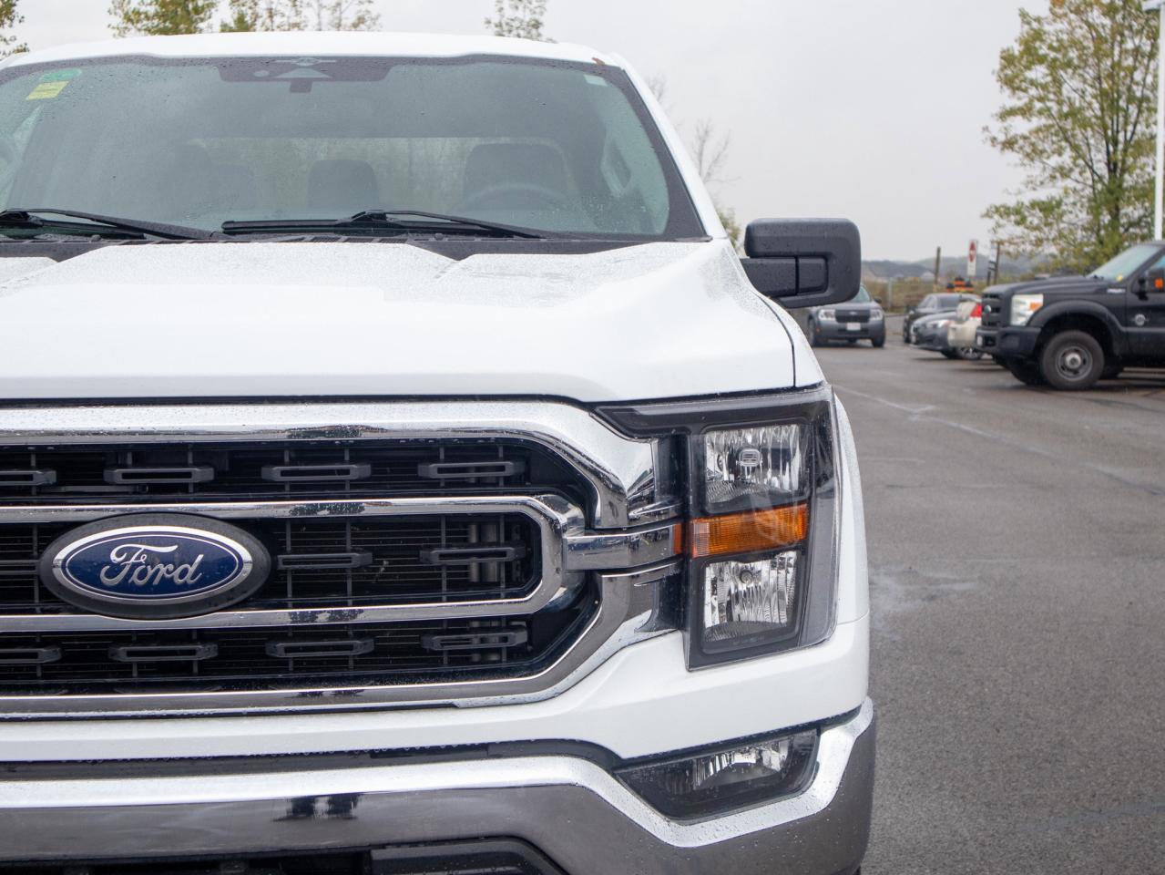 2023 Ford F-150 XLT - Two Sets of Tires, Cooled Front Seat(s) Photo