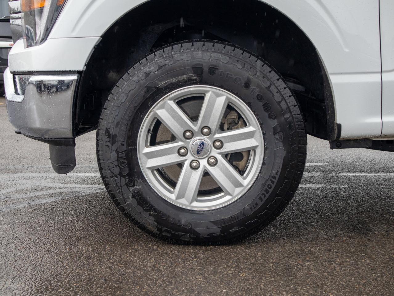 2023 Ford F-150 XLT - Two Sets of Tires, Cooled Front Seat(s) Photo